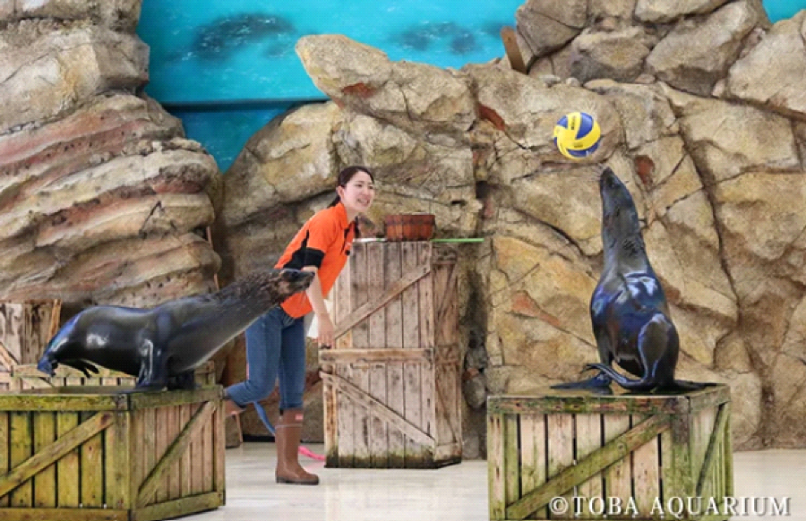 【2023年最新】三重県の人気観光地ランキング！三重県旅行の参考にどうぞ♪