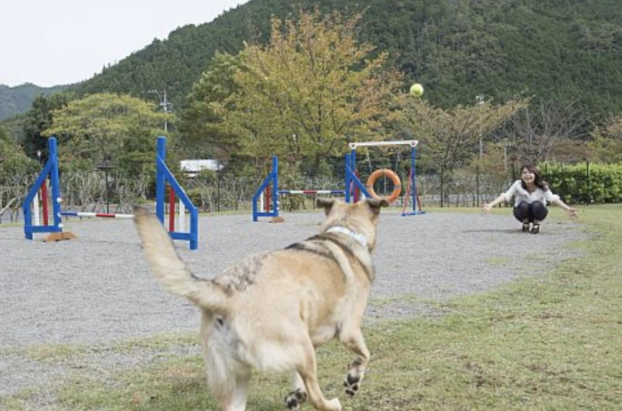 【三重県】犬と一緒に泊まれるホテルおすすめ3選！わんちゃんと三重県の大自然を満喫♪