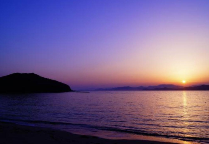 【三重県】犬と一緒に泊まれるホテルおすすめ3選！わんちゃんと三重県の大自然を満喫♪