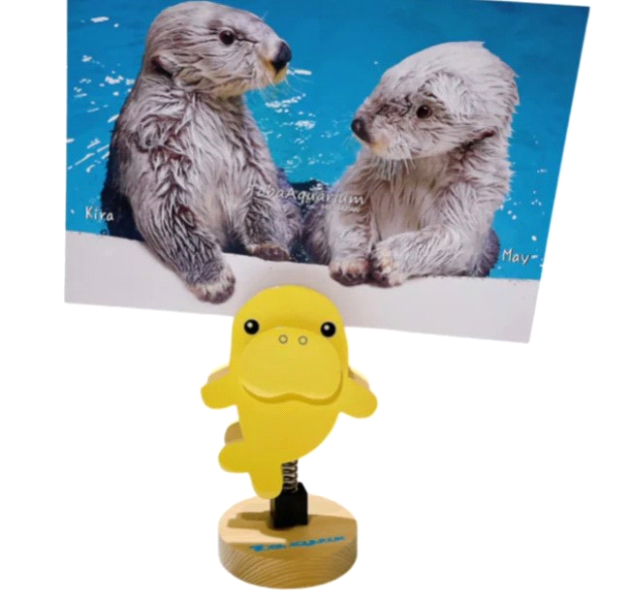 もう迷わない！鳥羽水族館で人気のおすすめお土産10選！