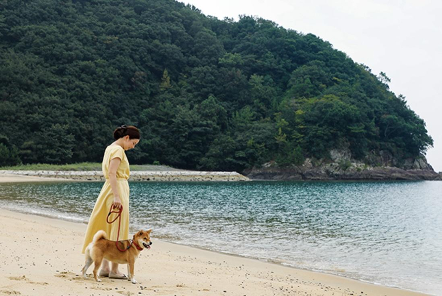 【三重県】犬と一緒に泊まれるホテルおすすめ3選！わんちゃんと三重県の大自然を満喫♪