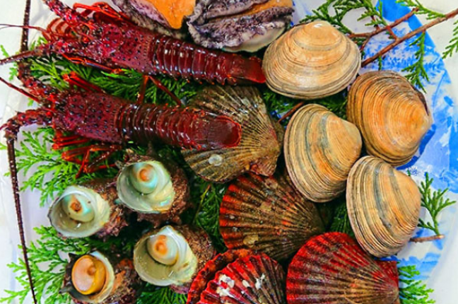 【2023年最新】伊勢志摩でキャンプができるおすすめのスポットを厳選して3つ紹介!!